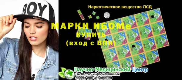 прущие грибы Михайловка