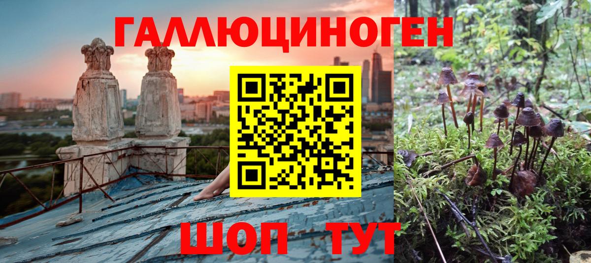 Псилоцибиновые грибы Psilocybine cubensis Джанкой