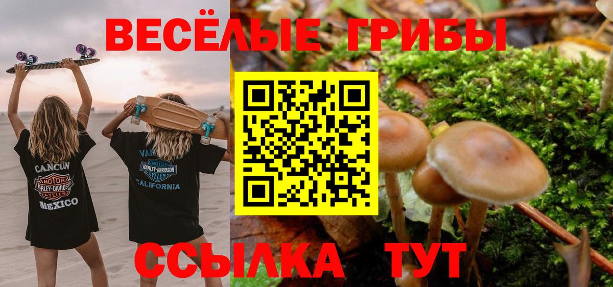 Псилоцибиновые грибы Cubensis  цена наркотик  Псилоцибиновые грибы прущие грибы  Джанкой  Вход с VPN 